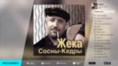 ЖЕКА - СОСНЫ КЕДРЫ _ ZHEKA - SOSNY - KEDRY