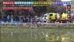 緊急SOS!池の水ぜんぶ抜く大作戦予習復習 世界遺産東大寺から天然記念物 200307