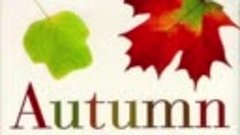 Листья, которые вы еще не видели / Autumn Leaves Book