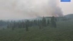 43 млрд: ущерб от незаконных рубок и пожаров в Иркутской обл...