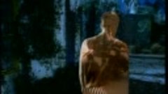 Sting - Fields Of Gold (Official Video)