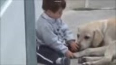 Loving dog takes care of little boy with Down syndrome.mp4