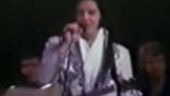 elvis presley - live 1977 - 16 live performances (never seen...