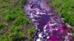 Каньо-Кристалес — река Пяти Цветов