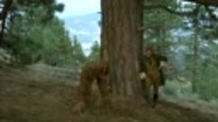 Daniel Boone 5x08