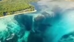 Подводный водопад Маврикий
В Индийском океане можно наблюдат...