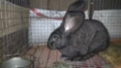 VID_20200905_115539.mp4