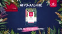 Agro_Alliance_3s_kuban_post_PS