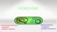 Usmle Videos - (dratef.net) c D N A &amp; Cloning ( medical.shop...