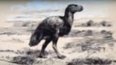 Гигантские-птицы-кайнозойской-эры--Рассказывает-палеонтолог-...