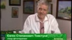 Фітотерапія. &quot;До Товстухи за здоров&#39;ям&quot;, вип. 27 | tovstuha....