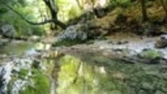 Горная река в БКК 
video_20200909_115811.mp4