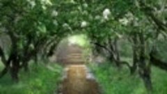 Тэм Гринхилл Врата Готики (720p).mp4