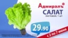 Адмирал Салат листовой 2-7