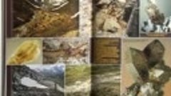 Видео группы Геологического музея в ВК_2