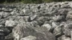 Каменная река (курумник)