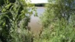 Река Раздольная, Южное Приморье, август 2020 г.