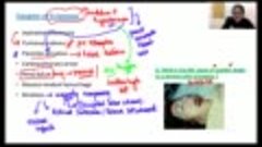 Clinical Management of Eclampsia   ObGyn  NEET PG 2021  Dr. ...