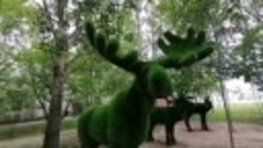 Зелёный Зоопарк в Хабаровске 