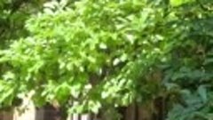 VID-20200816-WA0133.mp4