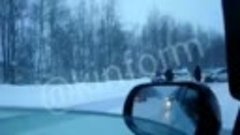 Авария на трассе Сургут-Нижневартовск