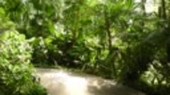 Джунгли, Tropical Islands