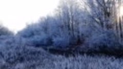 Зима в Козловке