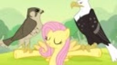 Fluttershy - Pony Sauce