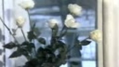 027 Ласковый май - Белые розы