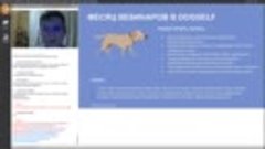02.05.2020 Некоторые элементы обучения собак-детекторов, игр...