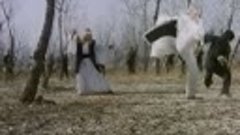 Брюс и кунг-фу монастыря Шао-Линь (1978).Боевик, Боевые иску...