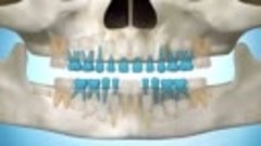 смены молочных зубов