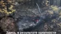 Два лесных пожара локализовали в окрестностях Якутска