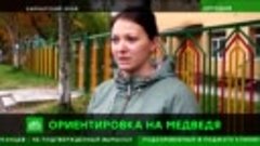 Неуловимый медведь обосновался в центре Петропавловска-Камча...