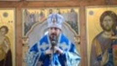 Проповедь митрополита Савватия на Введение во храм Пресвятой...