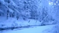 Зимний лес в Омсукчане