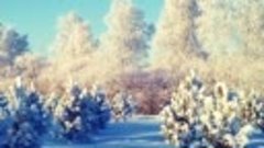 Снежный лес красотой белоснежной...🎼🎵🎶Музыка для души