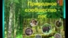 Познавательная программа «Лес - наш друг!».mp4