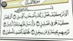 Учебное чтение Корана. 105 Сура Аль-Филь (Слон)