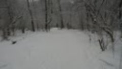 DSCN0114     02.01.2021г. снегу много но липкого !!! терпень...