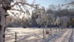 Прогулка по зиме под музыку Франсиса Лея