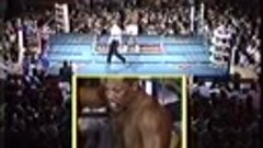 Mike Hunter vs Pinklon Thomas (12-06-1990)