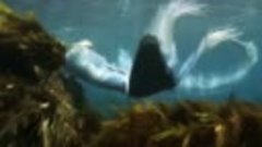 Девушка и подводный мир океана-music Xutos&amp;Pontapes