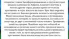 Памяти 6 роты 2-го батальона 104-го гвардейского парашютно-д...