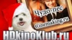 Чудо-пёс ] My Dog’s Christmas Miracle (2011)