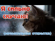 Видео поздравления для друзей бесплатно!