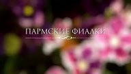 Женские сериалы длинные 2016- 2023  _   ПОДПИШИСЬ