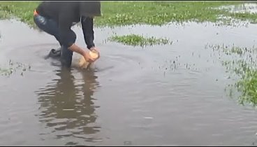 Видео шокирующее всех Рыбаков! Что он ловит это Жесть Удачно сходили ...