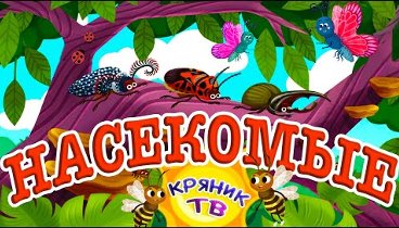 Видеоролик