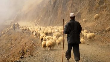 Fandura (Zurab Barbaqadze) da Giorgi Shalvashvili - Mival Mivyvebi